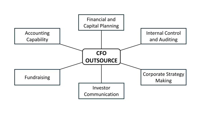 CFO outsourcing project